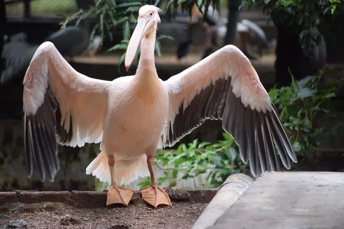 30 Unusual Facts No One Really Asked For, But Are Pretty Cool To Know