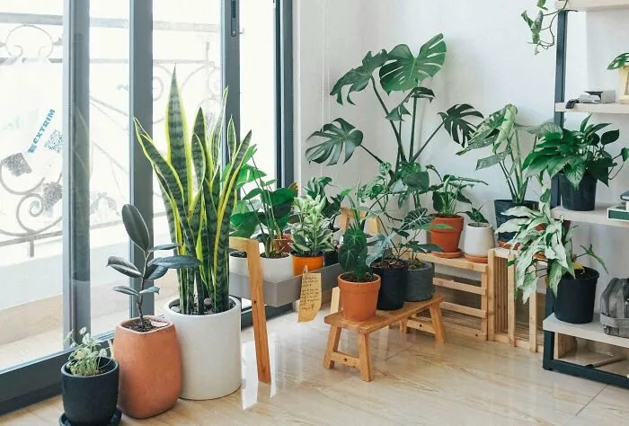 Netizens Reveal 31 Affordable Home Upgrades That Scream Luxury On A Dime