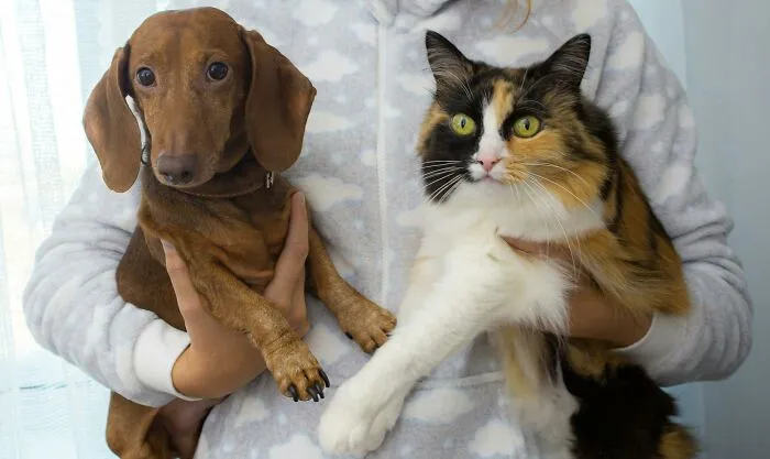 Your Pets Will Forgive You If You Accidentally Step On Them