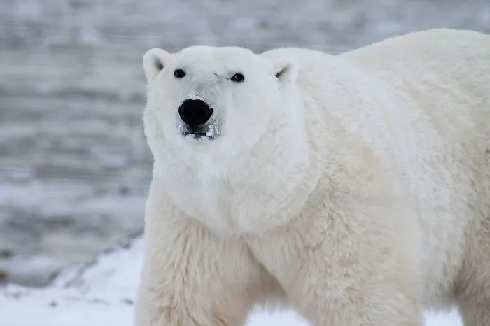 30 Unusual Facts No One Really Asked For, But Are Pretty Cool To Know