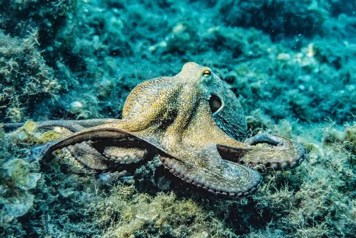 30 Unusual Facts No One Really Asked For, But Are Pretty Cool To Know