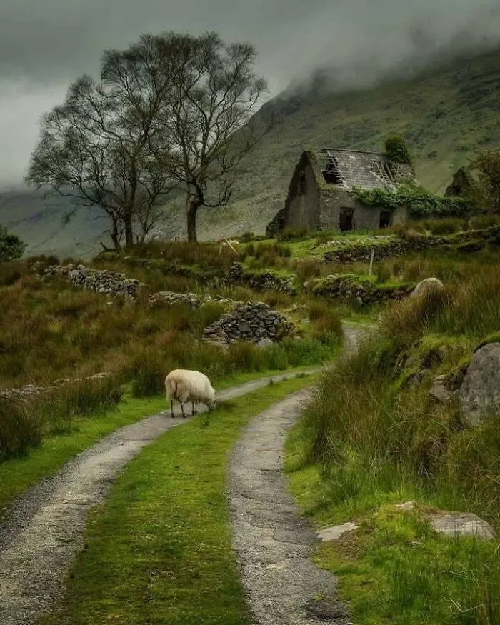 What A Beautiful Shot! Looks Like A Painting; Black Valley