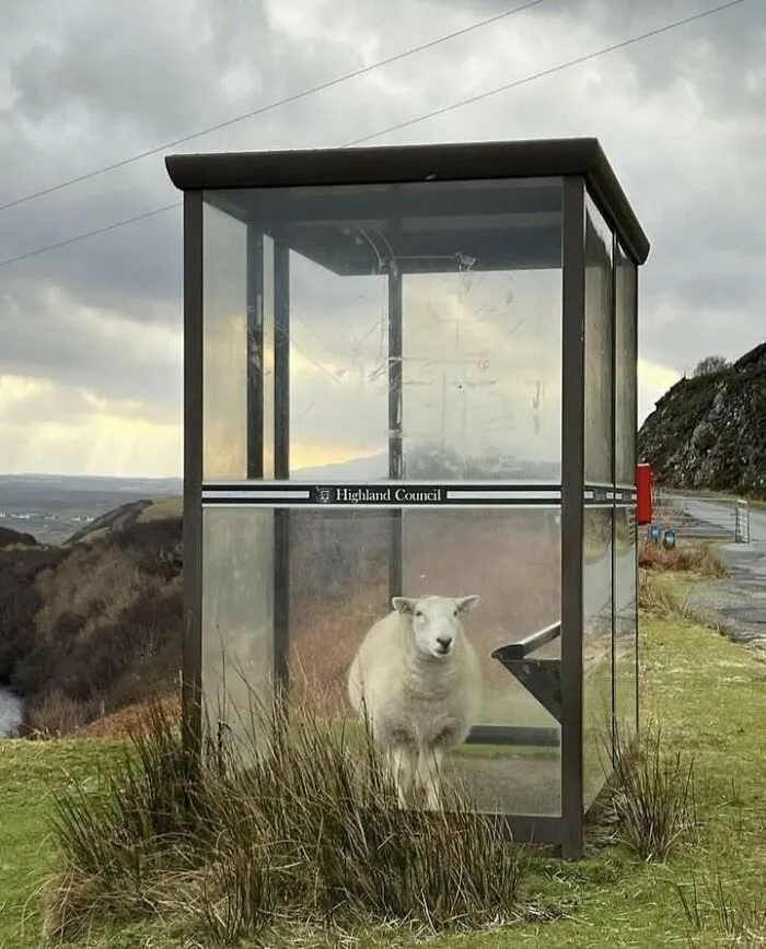 Waiting For The Bus On The Isle Of Skye, Scotland