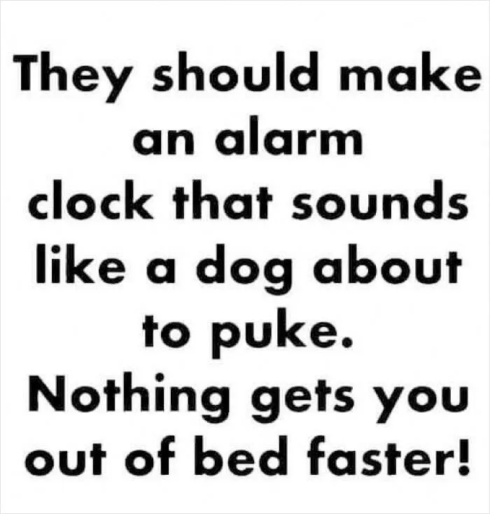 The “Now That’s Funny” IG Page Shares 50 Unhinged And Relatable Memes