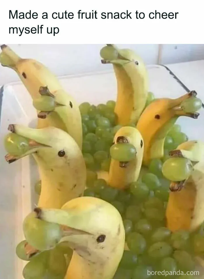 The “Now That’s Funny” IG Page Shares 50 Unhinged And Relatable Memes