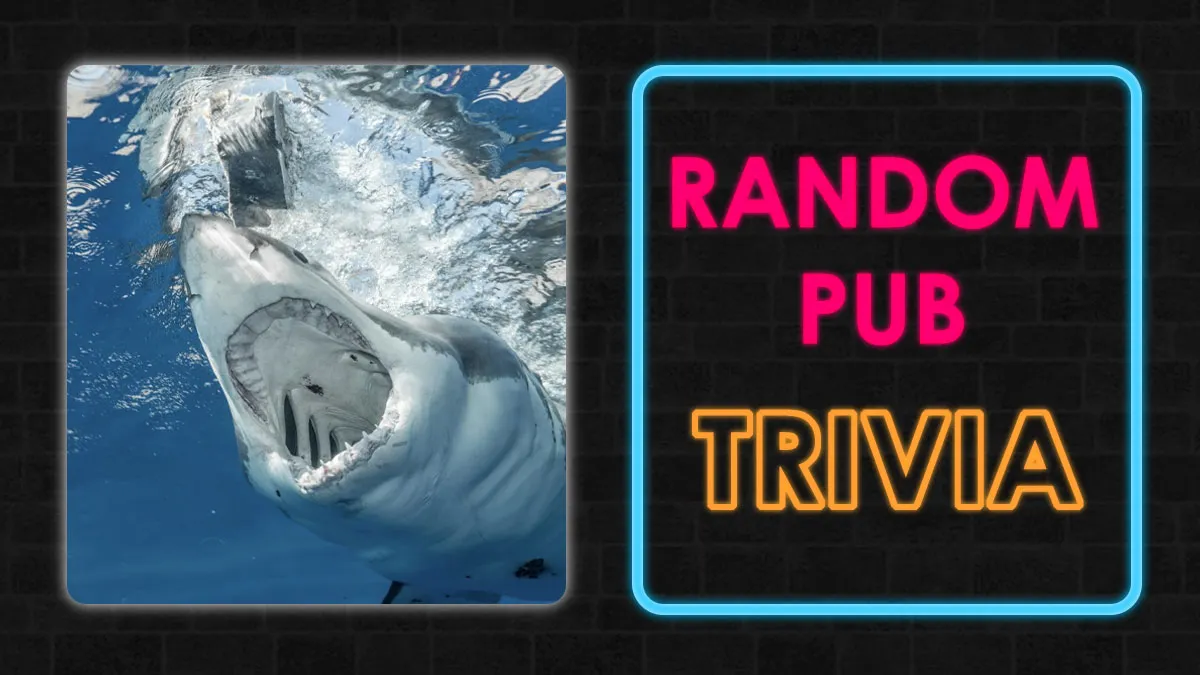 Random Pub Trivia: See Which Prize You Would Get Depending On How Well You Would Do In A Pub Trivia Night