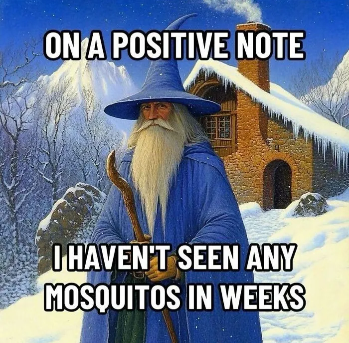 30 Humorous Memes That Are A Little Bit Unhinged
