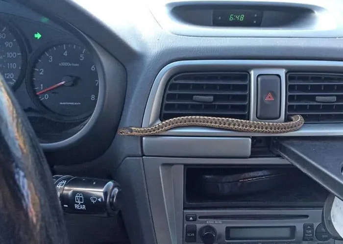 “Still Can't Explain What We Saw”: 30 Eerie Sights That Made Nighttime Drivers Question All