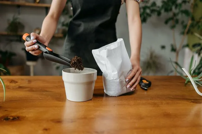 Netizens Reveal 33 Of The Weirdest Deliveries They’ve Ever Received Despite Not Ordering Them