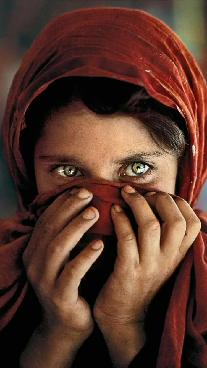 This Page Shares The Most Fascinating Photos, And Here Are The 42 Newest Ones