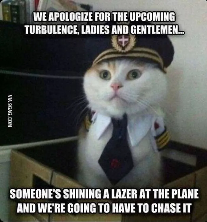 36 Funny And Furry Pics Of Cats Who Aren’t Afraid Of A Hard Day’s Work