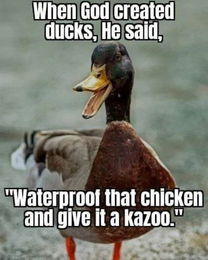 50 Funny Memes That Show Why Country Living Isn’t As Peaceful As You Think