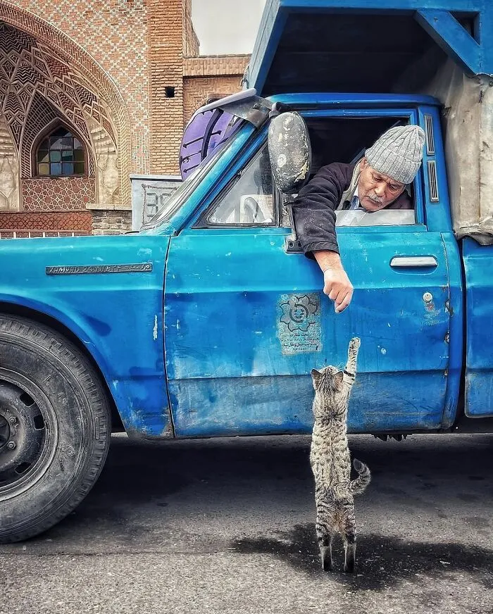 This Page Shares The Most Fascinating Photos, And Here Are The 42 Newest Ones