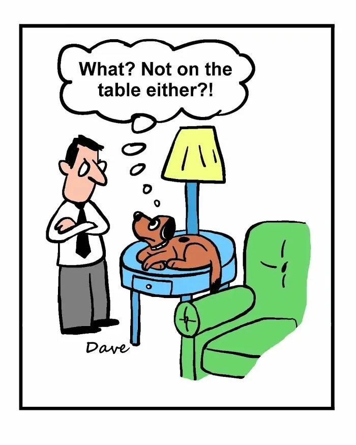 35 Humorous One-Panel Comics To Take A Break From The Everyday Hustle And Bustle