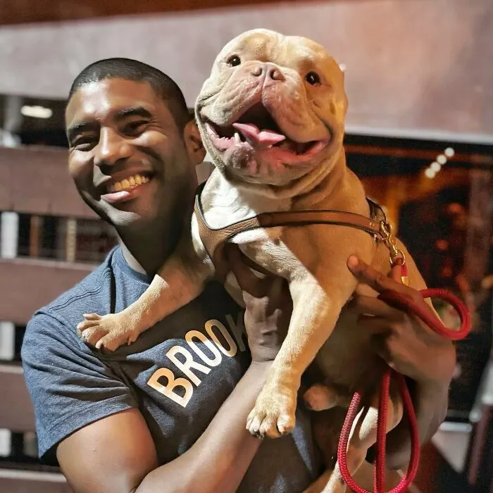 This UPS Driver's 21 New Photos With Pets Are The Dose Of Wholesome Content You Need