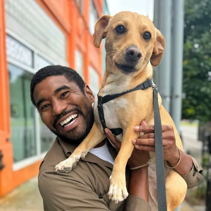 This UPS Driver's 21 New Photos With Pets Are The Dose Of Wholesome Content You Need