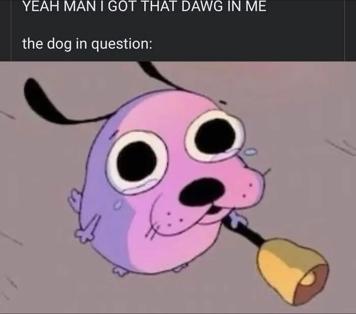 35 Out-Of-Pocket Random And Silly Memes That May Be Just What The Doctor Ordered For You
