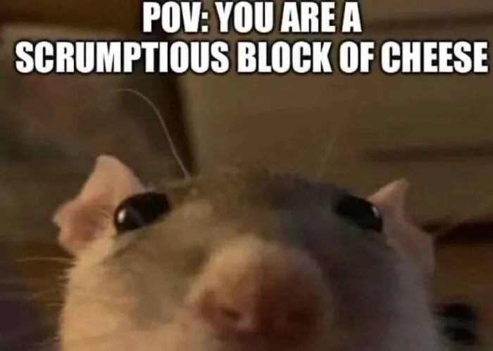 35 Out-Of-Pocket Random And Silly Memes That May Be Just What The Doctor Ordered For You