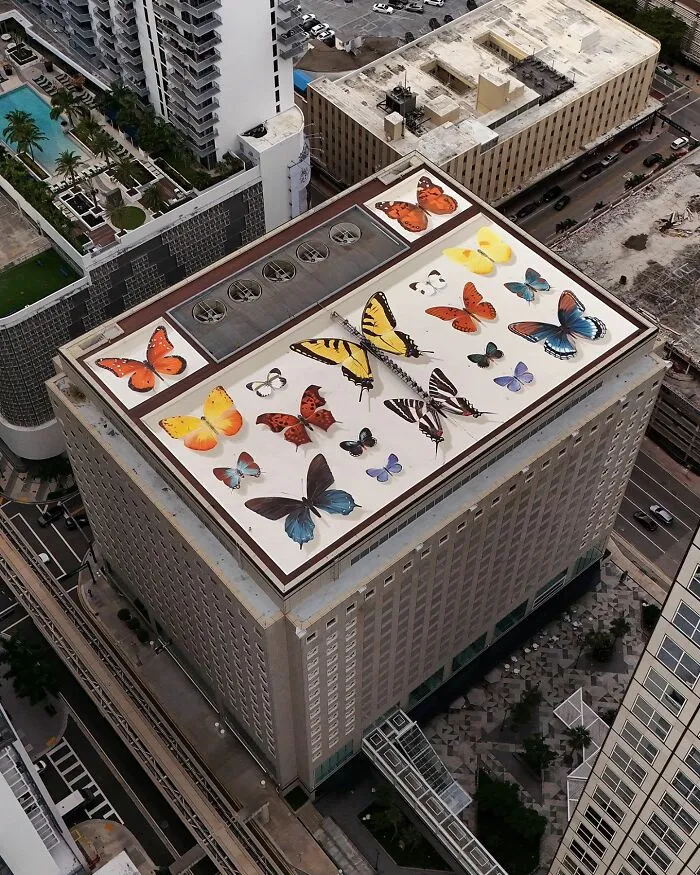 Specimen Boxes: 33 Giant Butterfly Murals Painted By This French Artist Across The World (New Pics)