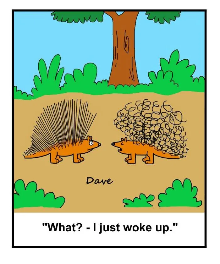 35 Humorous One-Panel Comics To Take A Break From The Everyday Hustle And Bustle