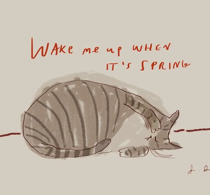30 Whimsical Illustrations That Focus On Cats And Everyday Life, By Jamie Shelman
