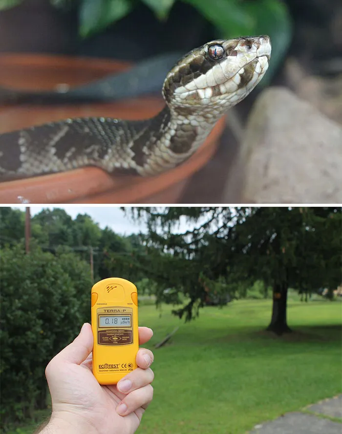 Thermal Cameras