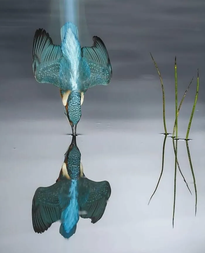 This Page Shares The Most Fascinating Photos, And Here Are The 42 Newest Ones
