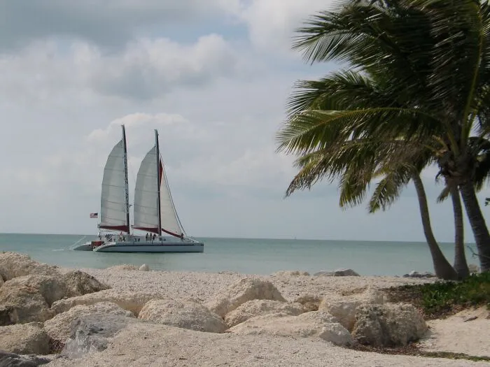 Sailboat near a rocky shore with palm trees, showcasing amazing views in tropical states.