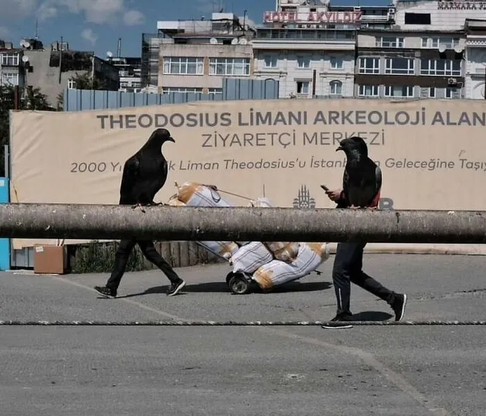 This Page Shares The Most Fascinating Photos, And Here Are The 42 Newest Ones