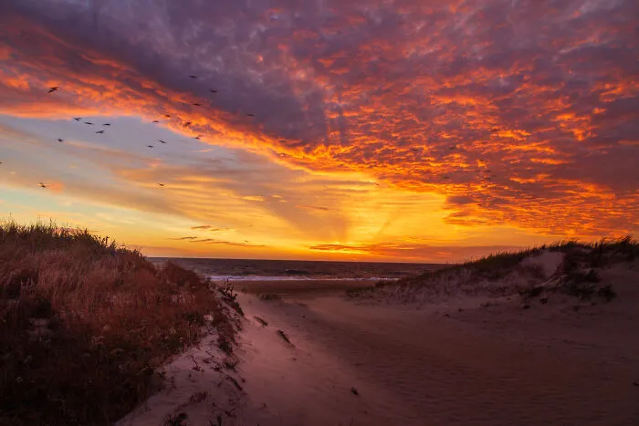 Stunning beach sunset with vibrant clouds, showcasing amazing views states.