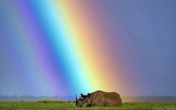 This Page Shares The Most Fascinating Photos, And Here Are The 42 Newest Ones