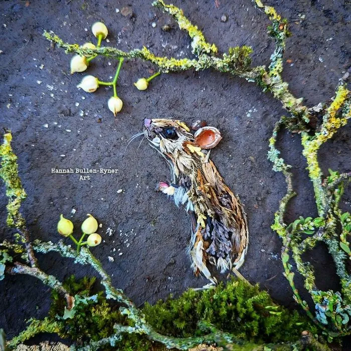 This Artist Works In Nature And Uses Only The Materials Available To Create Beautiful Artwork (43 Pics)