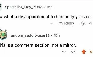 50 Epic Burns Of 2024 That Turned Insults Into High Art