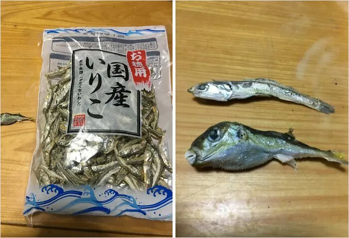 (Very) Poisonous Fugu Fish, Now Free With Your Dried Anchovies!