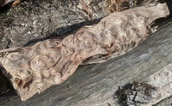 Splitting Firewood And Found A Piece Resembling The Sky In "The Starry Night"