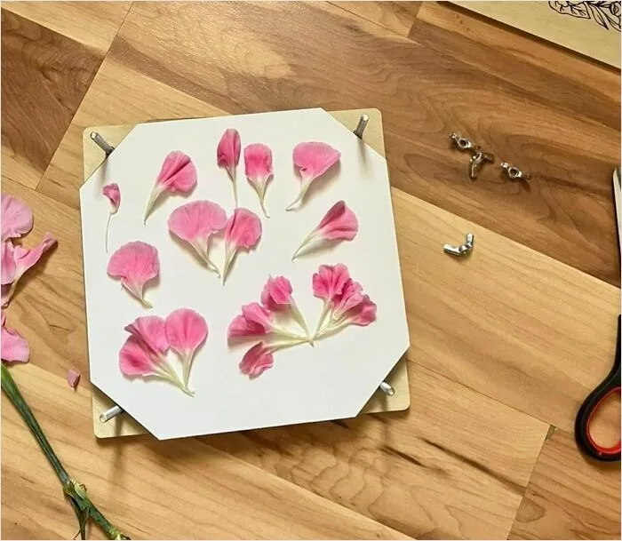 Preserve The Beauty Of Nature With A <a Style="Display:inline;" Href="Https://Www.amazon.com/Flower-Press-Kit-Botanical-Enthusiasts/Dp/B094mwb6gf?ie=utf8&linkcode=ll1&tag=bpaxolotl-20&linkid=7567cb590e56cddf5c0e9f04827b8cc8&language=en_us&ref_=as_li_ss_tl" Target="_blank"><span Style="Font: Inherit; Color: #d74b1f;"> Flower Pressing Kit </Span>, A Delicate Art Form That Lets You Capture The Essence Of Blooms Forever
