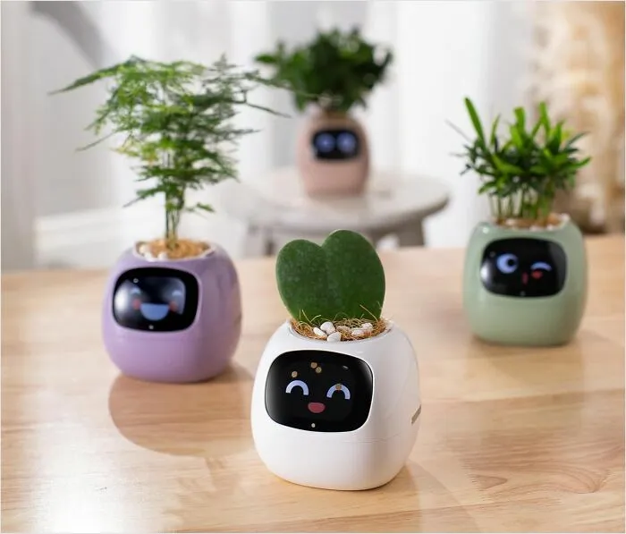  Green Thumb Just Not Cutting It? This <a Style="Display:inline;" Href="Https://Www.amazon.com/Dp/B0c8fklpmw?ascsubtag=7779168%2c6%2c28%2cd%2c0%2c0%2cbf-Fil-Te%2c900%3a2%3b974%3a3%3b1125%3a2%3b1338%3a1%2c54568606%2c0%2c0%2cbf&btn_ref=srctok-Dd9b2d4c0a9c0e8e&th=1&linkcode=ll1&tag=bpcrow-20&linkid=9df8b7f64f148bc17bb3d984b94e3a4f&language=en_us&ref_=as_li_ss_tl" Target="_blank"><span Style="Font:inherit;color:#d74b1f;"> Smart Planter</Span> Will Tell You Exactly When It Gets Thirsty