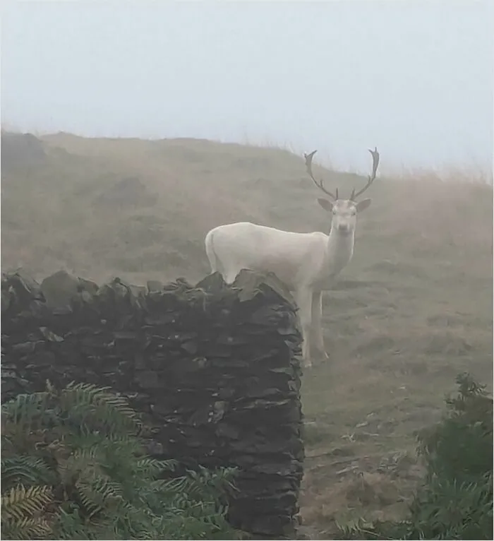 Saw This On My Walk Today
