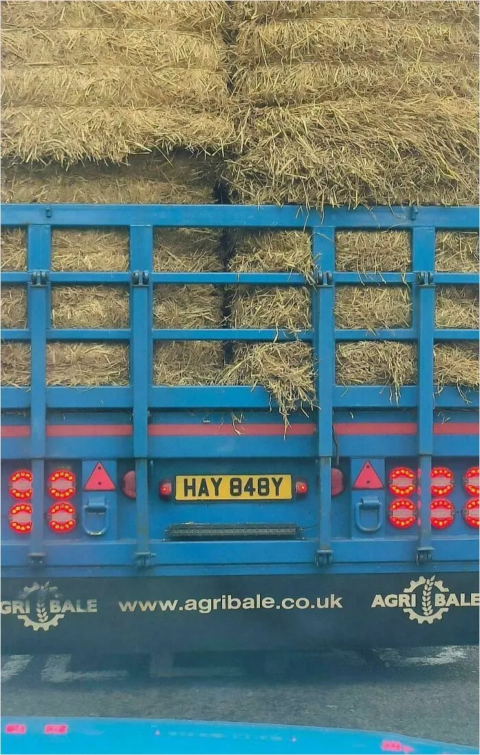 What’s The Best Registration Plate You’ve Seen?