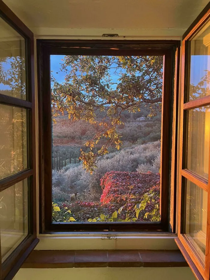 Painting Or Window