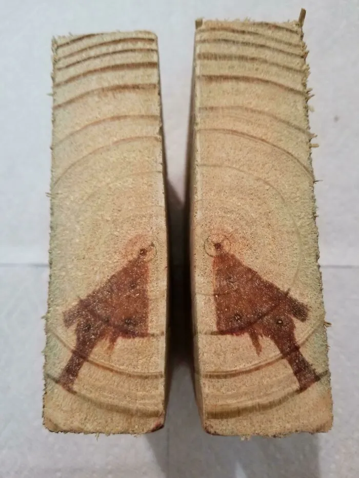This Pine Wood Has An Arrow Pointing To What Was The Center Of The Tree