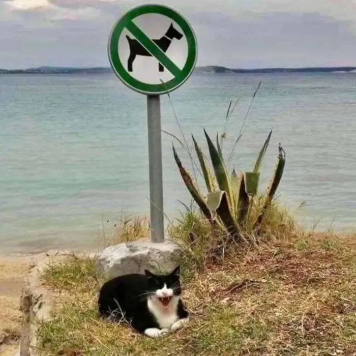 50 Awkward Photos That Are Almost Too Painful To Scroll Through