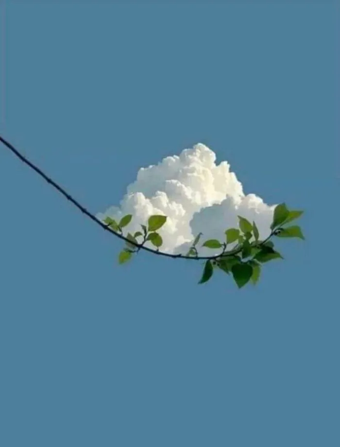 Nube perfectamente alineada