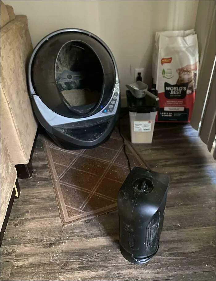 Roommate Uses An Air Purifier 24/7 Instead Of Cleaning Her Cat’s Litter Robot. Whole House Smells Like Cat Poop