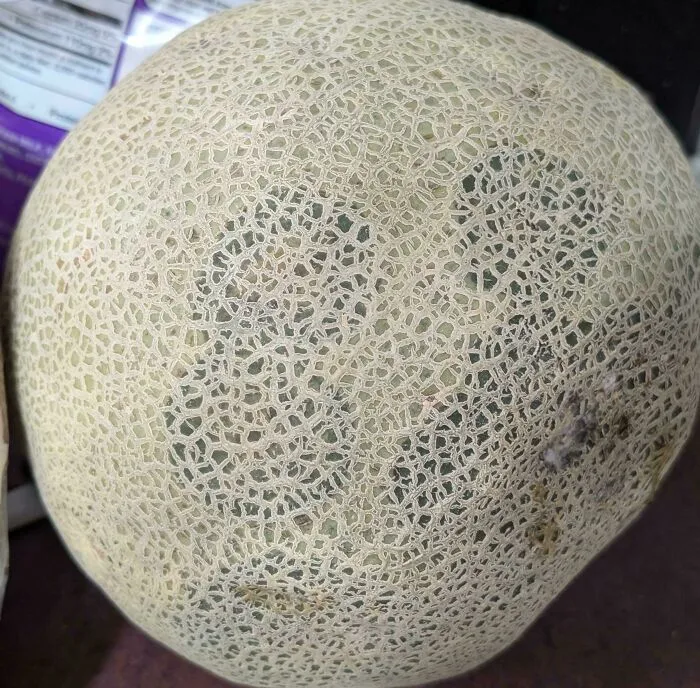 Este melón podrido parece una prueba de daltonismo