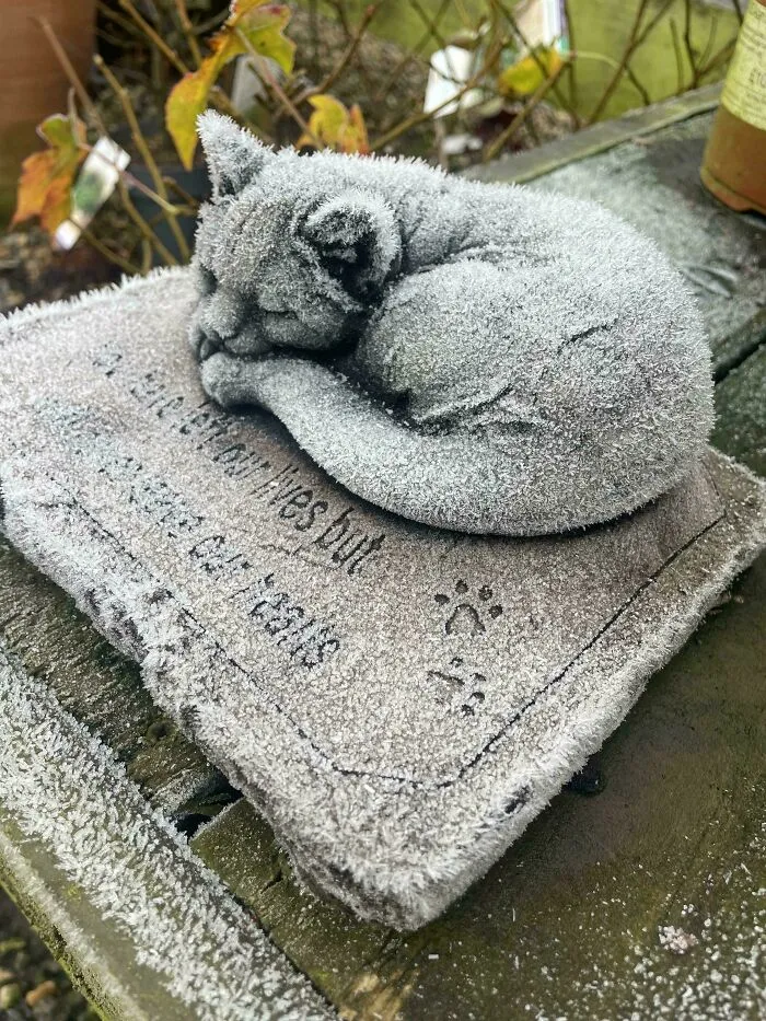 La escarcha en esta estatua parece pelaje