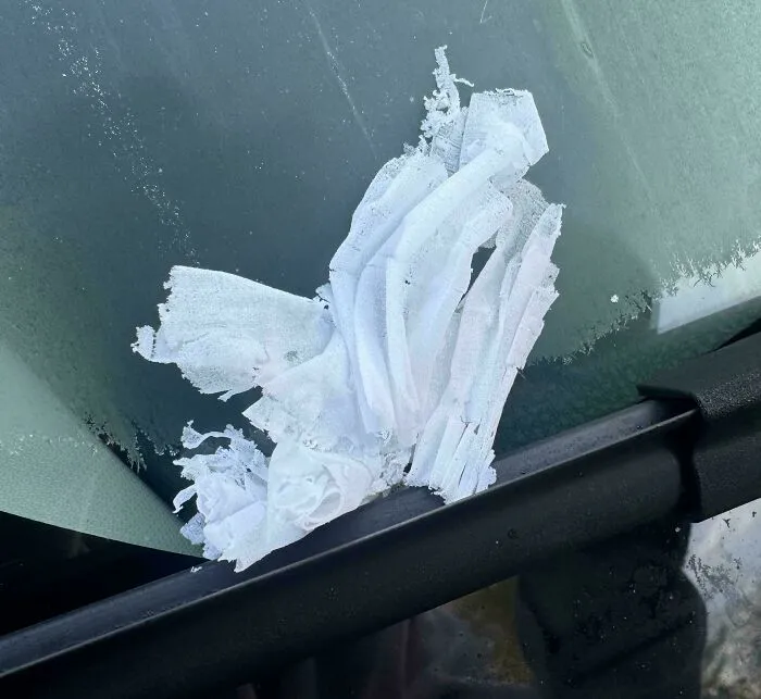 La escarcha que raspé de mi coche parece tela