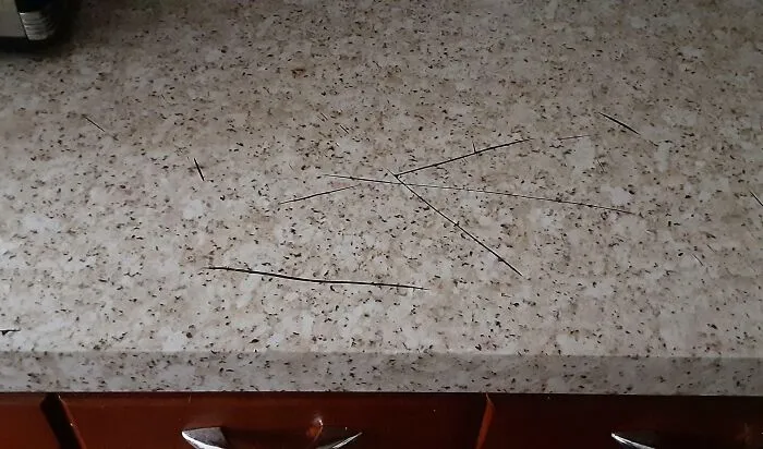 3 Weeks Ago I Replaced The Vinyl Countertop Covering Because My Roommate Ruined It By Cutting Things Directly On The Counter. I Asked Them To Please Not Do That Anymore. This Is Today
