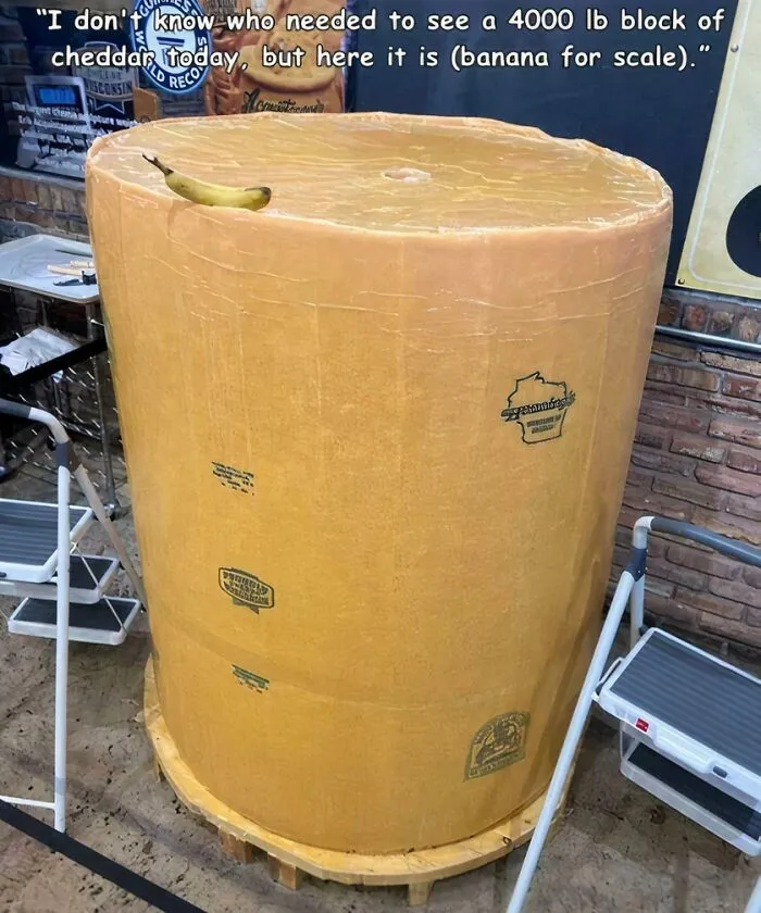 Of A Cheese