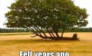 50 Funny Memes That Show Why Country Living Isn’t As Peaceful As You Think